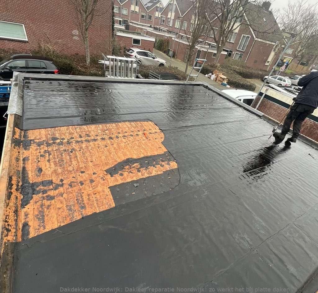 Dakleer Reparatie Noordwijk