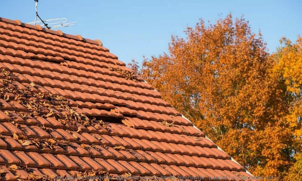 Dakrenovatie In Herfst Noordwijk