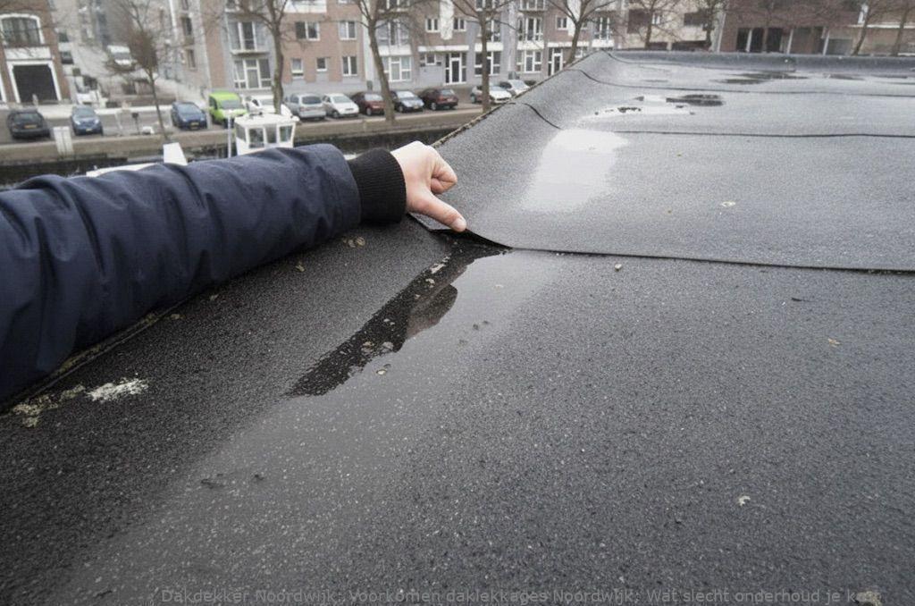 Voorkomen Daklekkages Noordwijk
